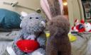 ElephantBunny